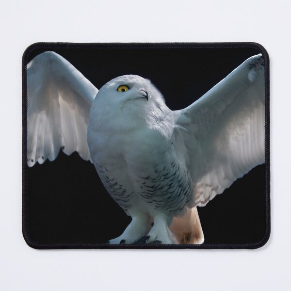 Item preview, Pre-Flight Check designed and sold by Krys Bailey.