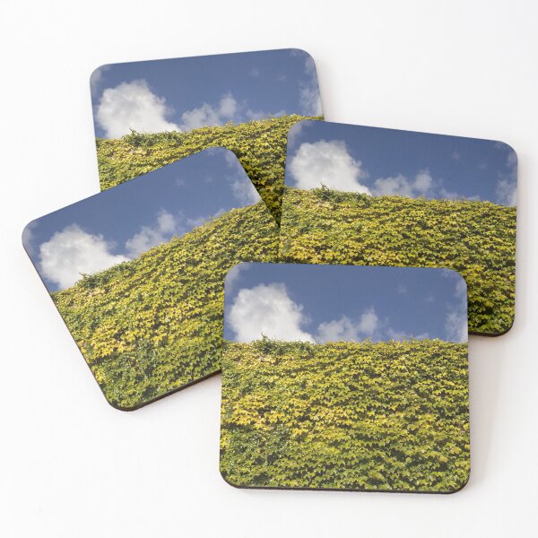 Artikelvorschau, Going green | Nature vibrant photo of green and blue sky entworfen und verkauft von MyThemesDesign.