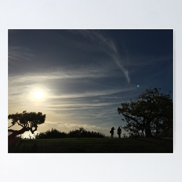 Sundown In Scripps, La Jolla California Poster