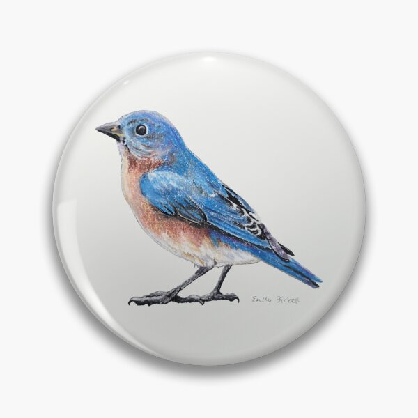 Item preview, Eastern Bluebird Drawing (no background) designed and sold by Emily Bickell.