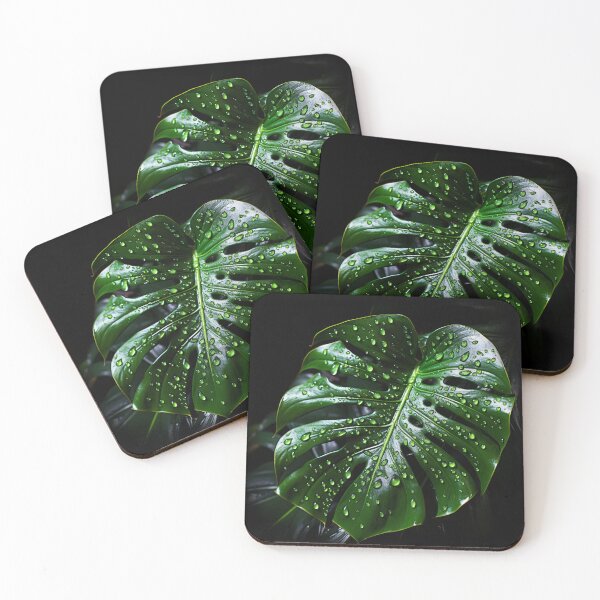 Item preview, Monstera with dew  designed and sold by BloodRubyz.