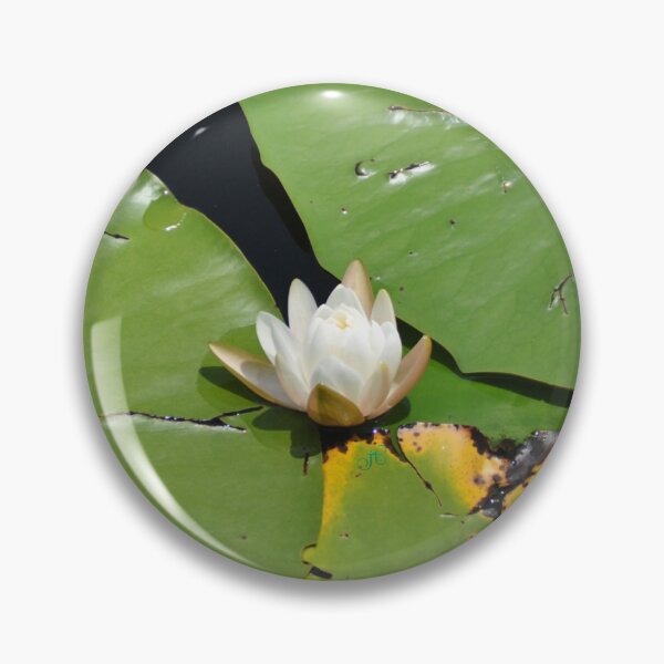 Item preview, Blossom designed and sold by LibrosBOOKtique.