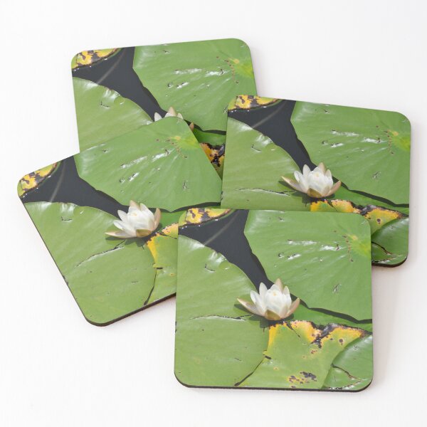 Item preview, Blossom designed and sold by LibrosBOOKtique.