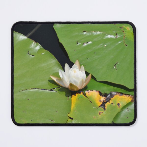 Item preview, Blossom designed and sold by LibrosBOOKtique.
