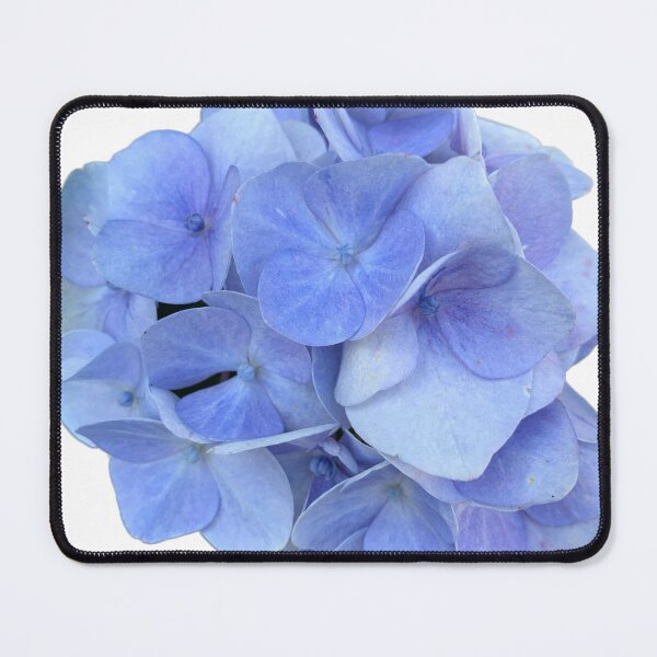 Item preview, Blue Hydrangea designed and sold by RPoli3.