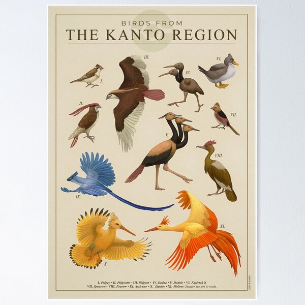 Birds of Kanto Poster