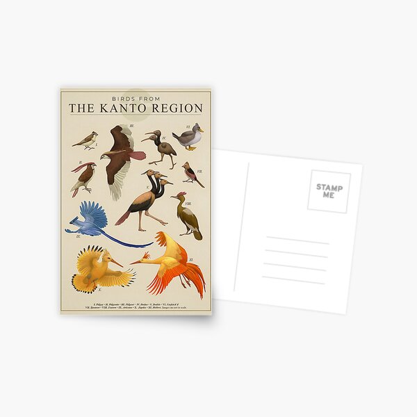 Oiseaux du Kanto Carte postale