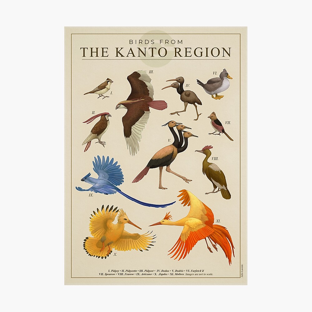 Birds of Kanto Poster