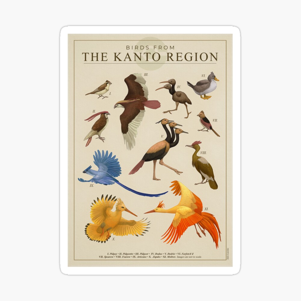 Birds of Kanto Poster