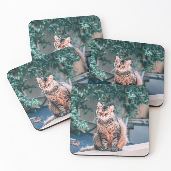 Item preview, Cat in Tel Aviv designed and sold by Alexander Peterson.