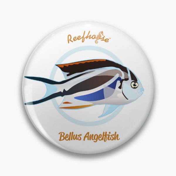 Item preview, Bellus Angelfish designed and sold by KaplanCrypto.