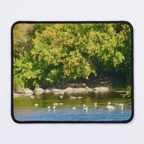 Item preview, Shady bank of the Rideau River designed and sold by Shulie1.