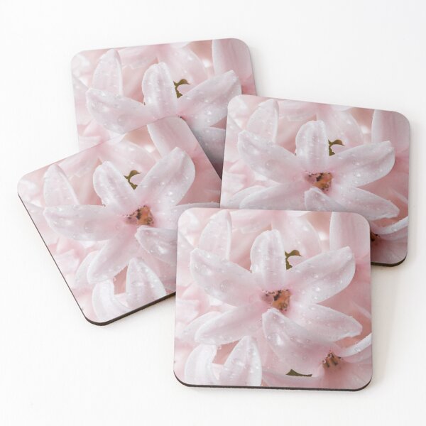 Item preview, Hyacinthus orientalis  'China Pink'  Hyacinth   designed and sold by Chris Burrows.