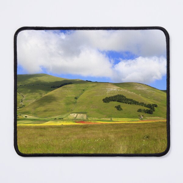Item preview, Pian Grande di Castelluccio di Norcia designed and sold by annalisa56.