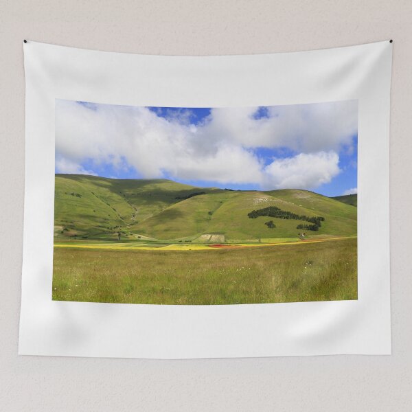 Item preview, Pian Grande di Castelluccio di Norcia designed and sold by annalisa56.