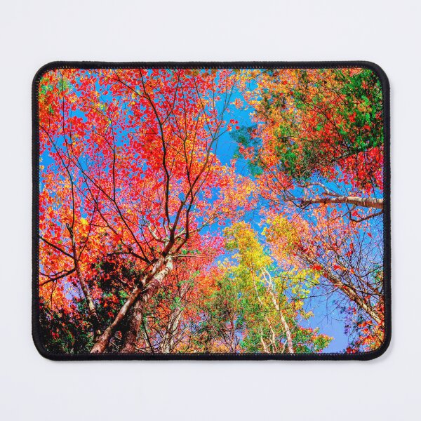 Item preview, New England's Fall Splendor - The Colors of Autumn designed and sold by Rocky Mountain Artistry.