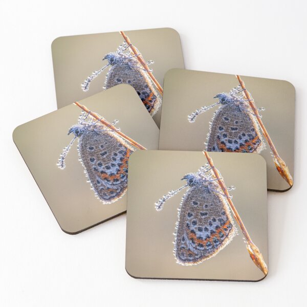 Item preview, Silver-studded blue designed and sold by Eyes on Butterflies.