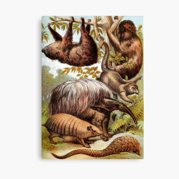 Item preview, Sloth Armadillo Phatagin and Great Ant Eater Vintage Chromolithograph Painting Animal Lover Gift designed and sold by ElegantTeaTime.