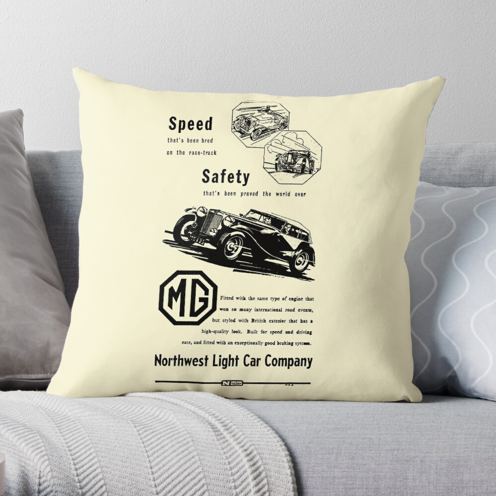 https://ih1.redbubble.net/image.5274792193.4152/throwpillow,large,1000x-bg,f8f8f8-c,0,200,1000,1000.jpg