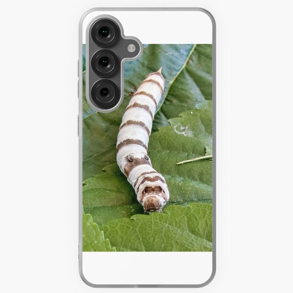 Item preview, Silk  Worm  designed and sold by DPalmer.