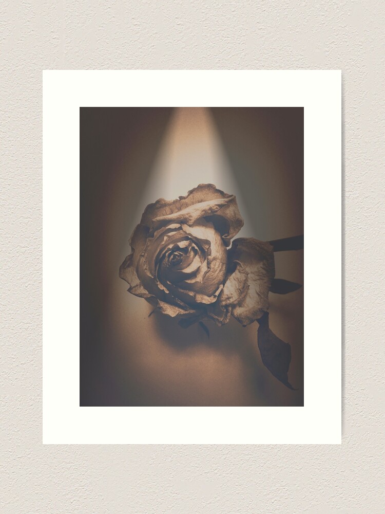 Thumbnail 2 of 3, Art Print, A Rose is Born Art Photo designed and sold by OneDayArt.