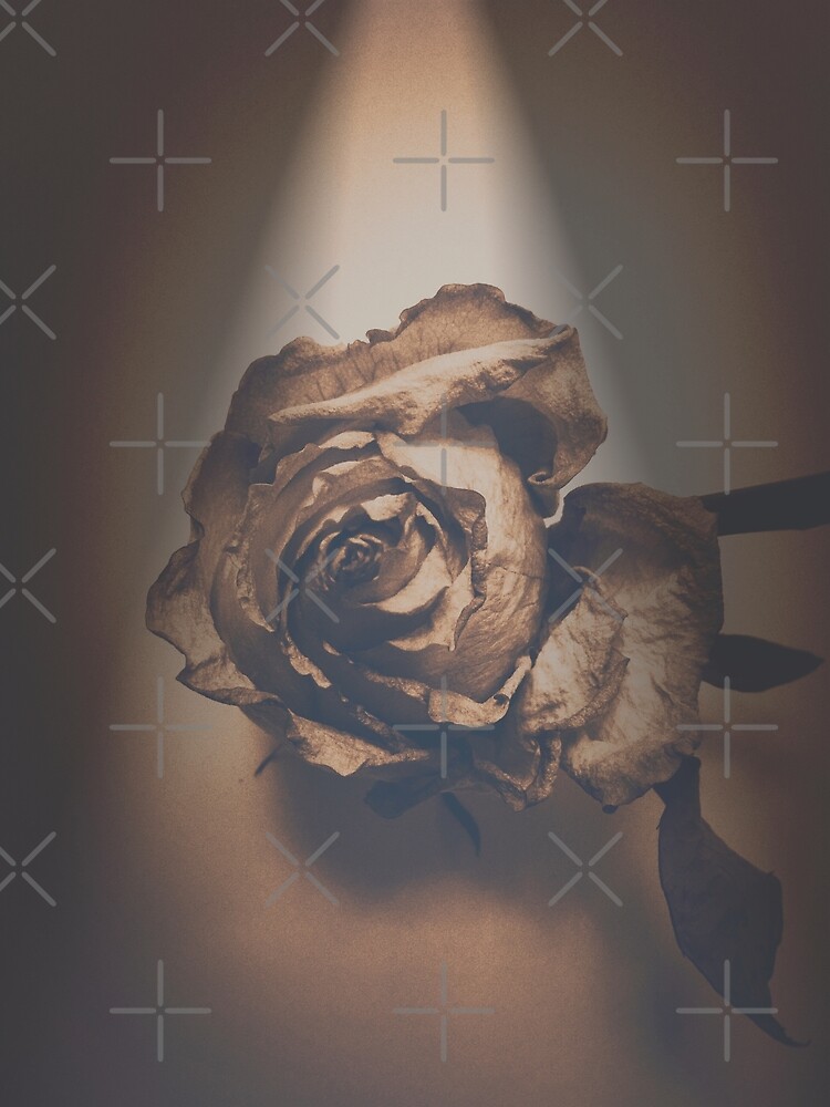 Thumbnail 3 of 3, Art Print, A Rose is Born Art Photo designed and sold by OneDayArt.