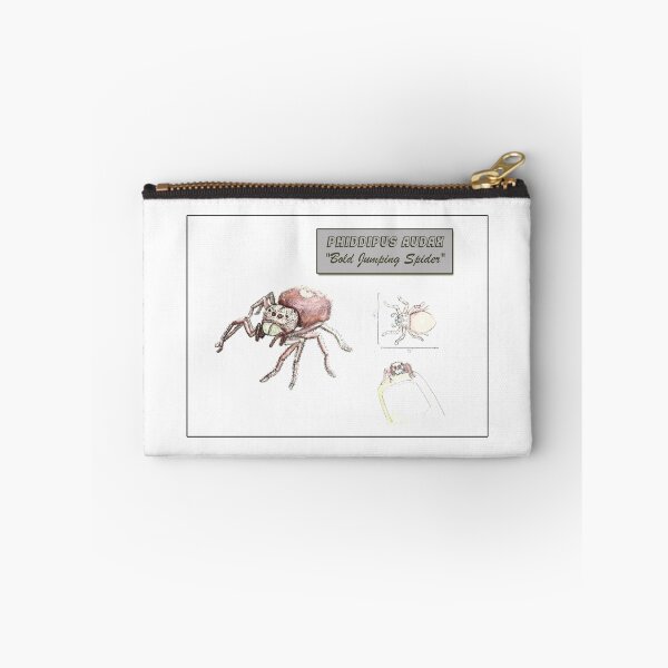 Artikelvorschau, Phippipus Audax, die „kühne Springspinne“ entworfen und verkauft von Robert Landon Price.