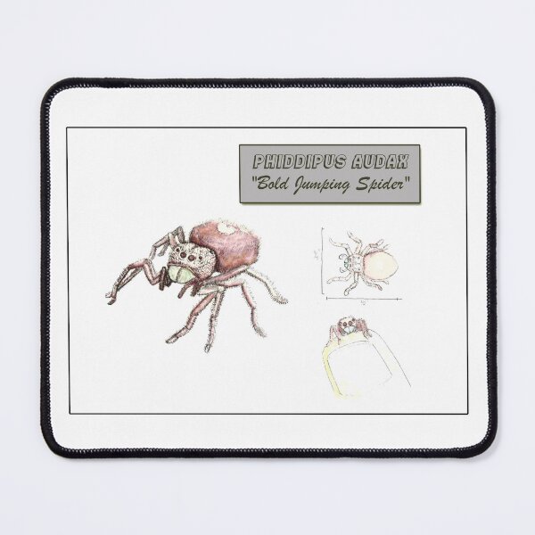 Item preview, Phippipus Audax, the "Bold Jumping Spider" designed and sold by Robert Landon Price.