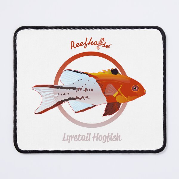 Item preview, Lyretail Hogfish designed and sold by KaplanCrypto.