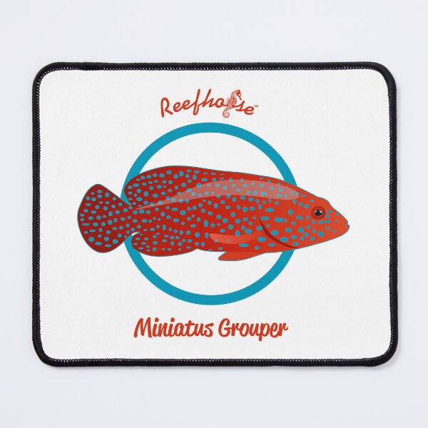 Item preview, Miniatus Grouper designed and sold by KaplanCrypto.