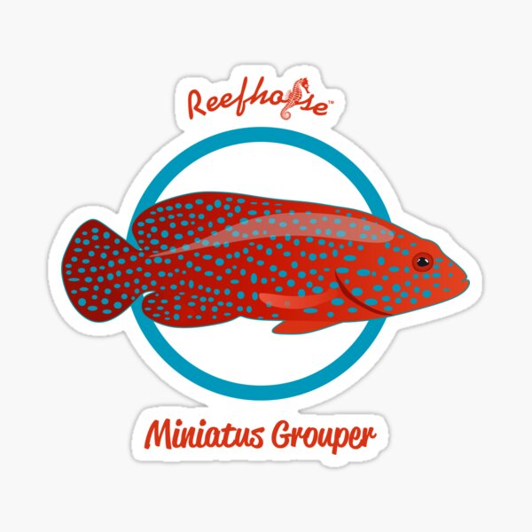 Miniatus Grouper Sticker