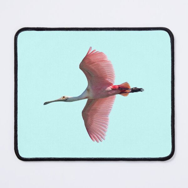 Item preview, Roseate Spoonbill in Flight designed and sold by Futurebeachbum.