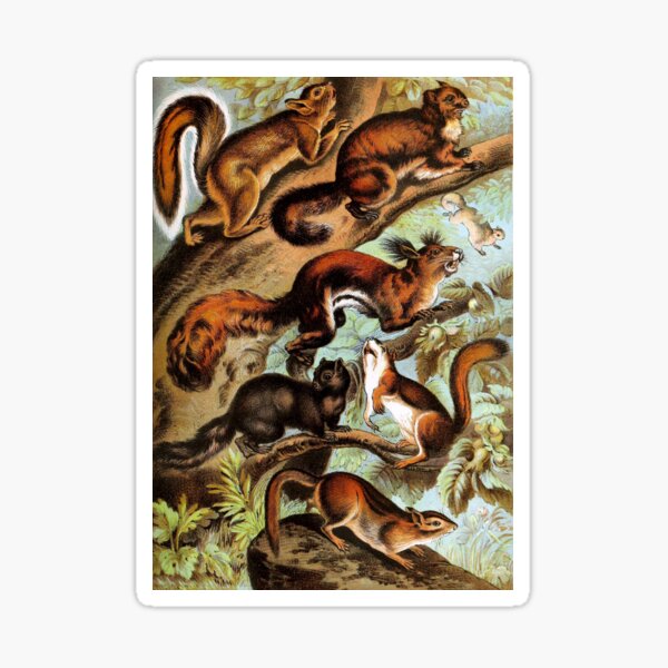 Item preview, Squirrels Realistic Brown Black and White in Tree Vintage Chromolithograph Painting Animal Lover Gift designed and sold by ElegantTeaTime.