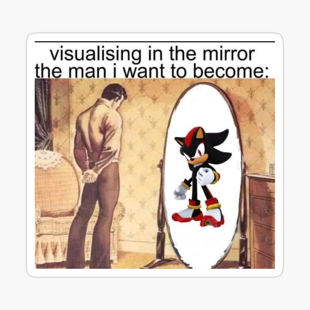 Visualizing in the Mirror Shadow the Hedgehog Meme | Sticker