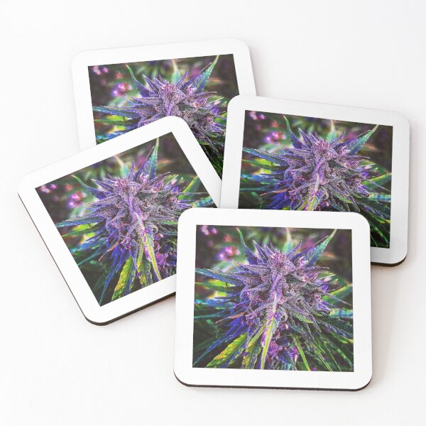 Item preview, Hidden Hill Hemp -- Oregon Cherry 2019 designed and sold by MindentPsyScout.