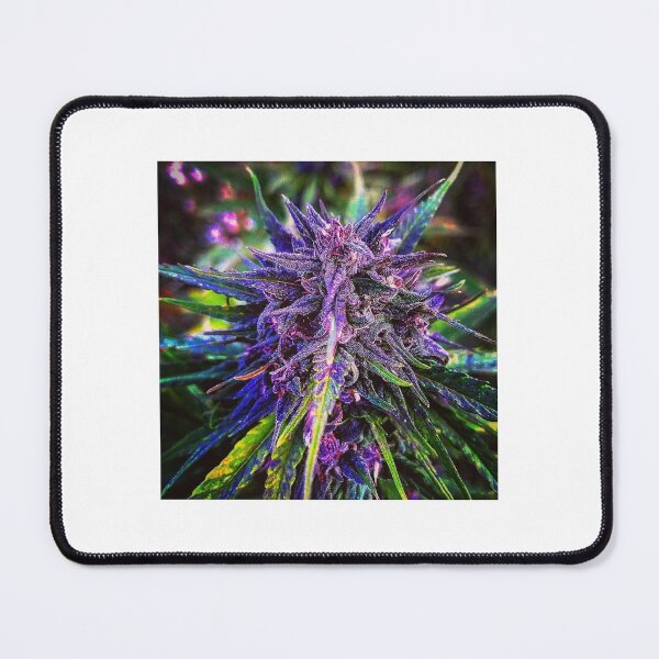 Item preview, Hidden Hill Hemp -- Oregon Cherry 2019 designed and sold by MindentPsyScout.
