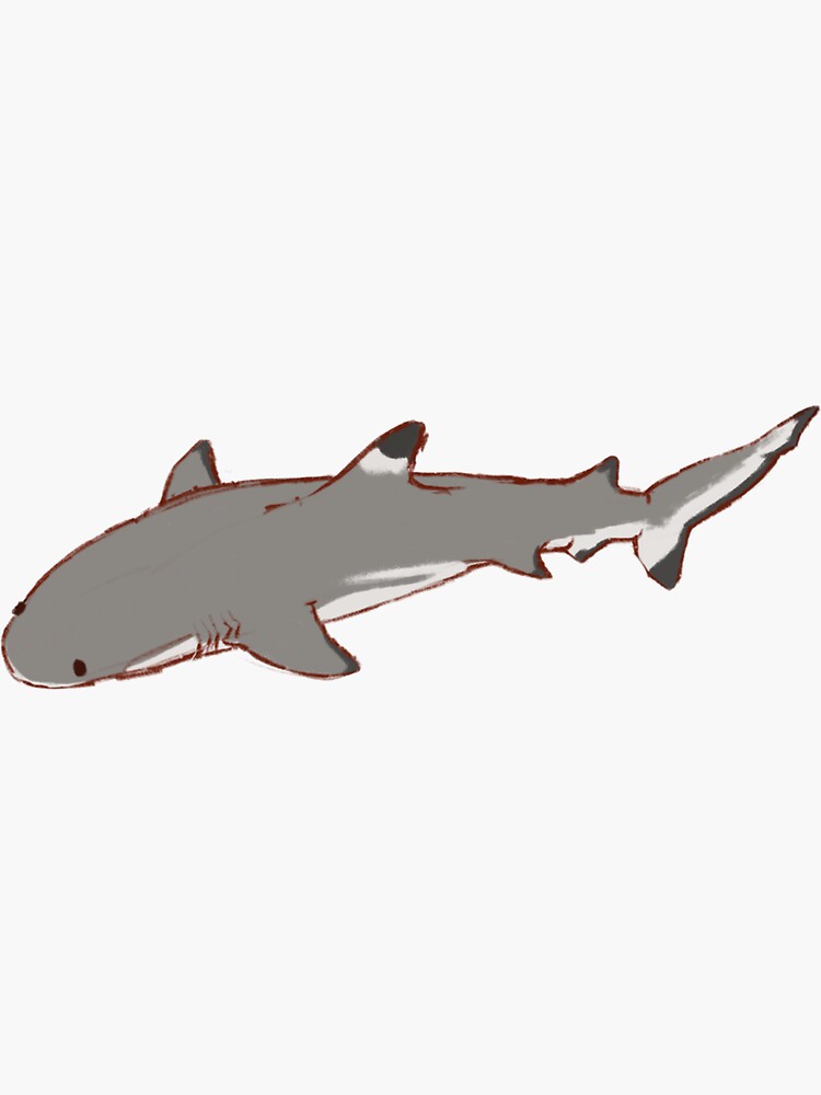 blacktip reef shark Sticker for Sale by sin0phodon