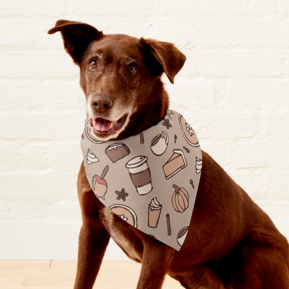 Cute Hand Drawn Neutral Aesthetic Fall Set Pet Bandana for Sale by  TheEclecticKat