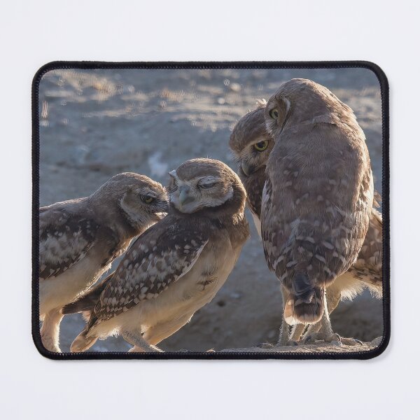 Item preview, The Huddle designed and sold by CarolM.