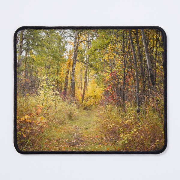 Item preview, Beautiful Autumn Forest and Trail in Alberta, Canada designed and sold by Amy Mitchell.