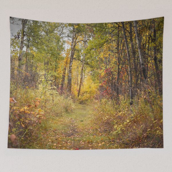 Item preview, Beautiful Autumn Forest and Trail in Alberta, Canada designed and sold by Amy Mitchell.