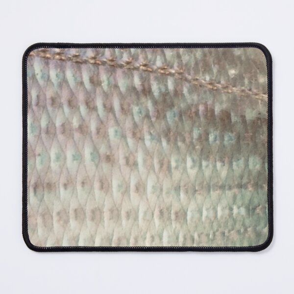 Item preview, Scup Porgy Scales Skin Pattern (Natural)  designed and sold by CJRPics.