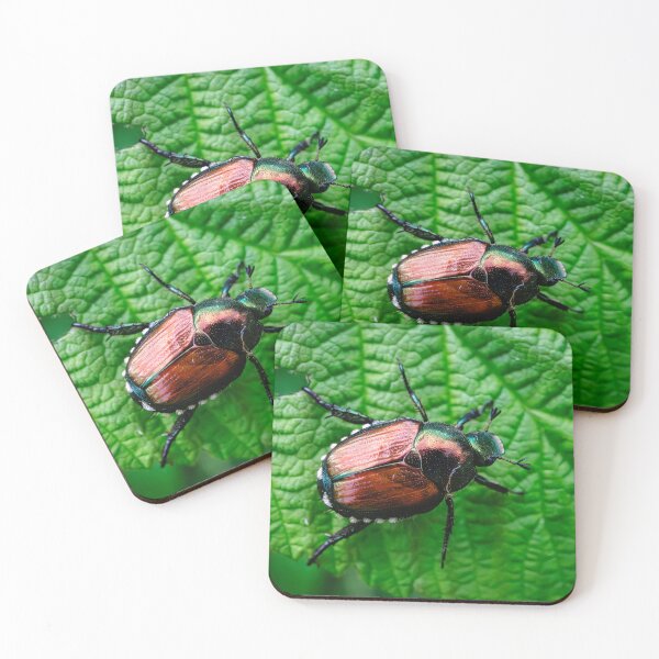 Item preview, A Japanese Beetle's Macro Revelation V1 designed and sold by Family Journey with God.