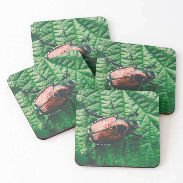 Item preview, Japanese Beetle's Macro Revelation V2 designed and sold by Family Journey with God.