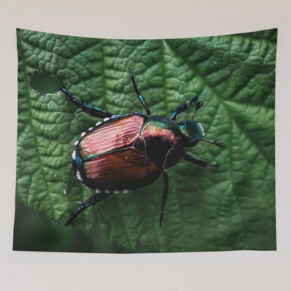Item preview, Japanese Beetle's Macro Revelation V3 designed and sold by Family Journey with God.