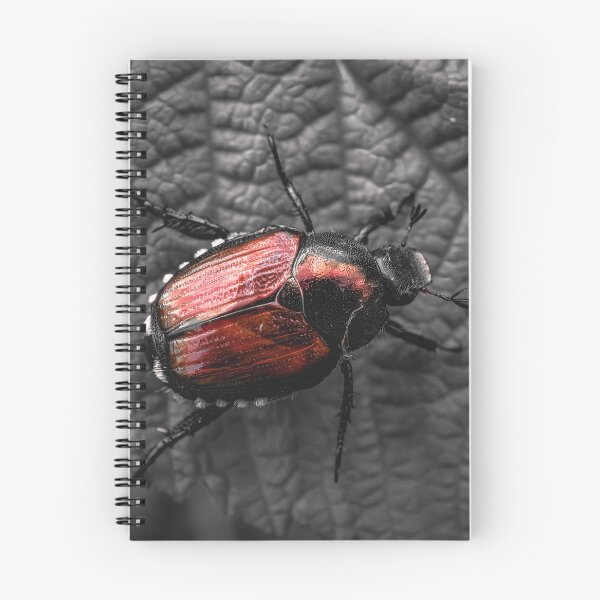 Item preview, Japanese Beetle's Macro Revelation V4 designed and sold by Family Journey with God.