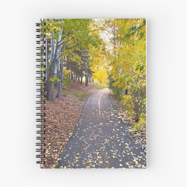 Aperçu de l'œuvre Piste cyclable en automne créée et vendue par Image-Prints.
