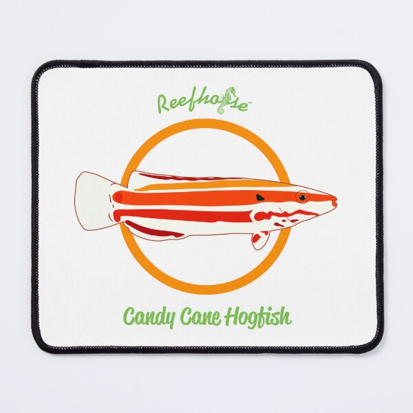 Item preview, Candy Cane Hogfish designed and sold by KaplanCrypto.