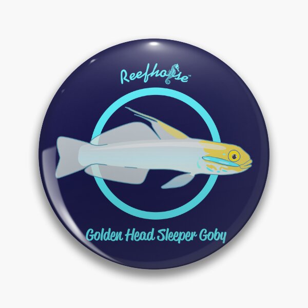 Item preview, Gobio durmiente de cabeza dorada designed and sold by KaplanCrypto.