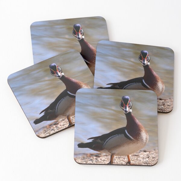 Item preview, Wood Duck Staredown designed and sold by Elizabeth Ouimet.